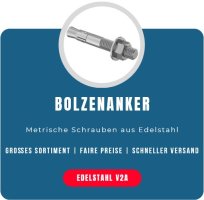 Bolzenanker