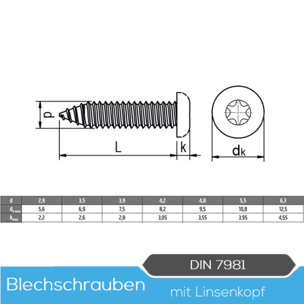 Blechschrauben DIN 7981 Linsenkopf TORX 2,9mm3,5mm3,9mm4,2mm4,8mm5,5mm Edelstahl